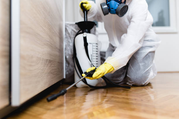 Best Pest Control for Restaurants  in St Lawrence, PA