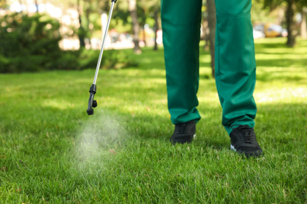 Pest Control for Restaurants in St Lawrence, PA