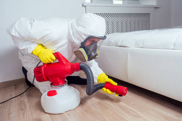 Best Flea Control Services  in St Lawrence, PA