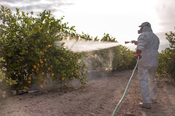 Best Bed Bug Extermination  in St Lawrence, PA