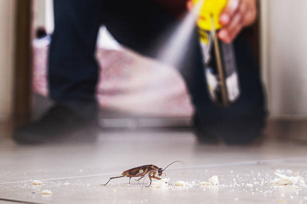 Trusted St Lawrence, PA Pest Control Experts